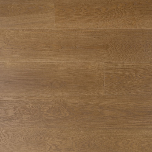 Douwes Dekker - Trots Solide plank Salie