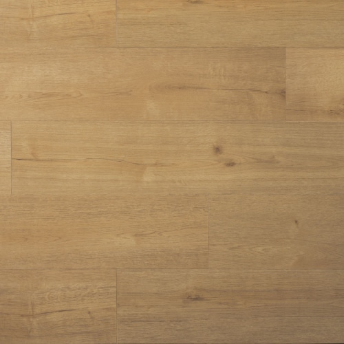 Douwes Dekker - PVC klik SPC plank kletskop