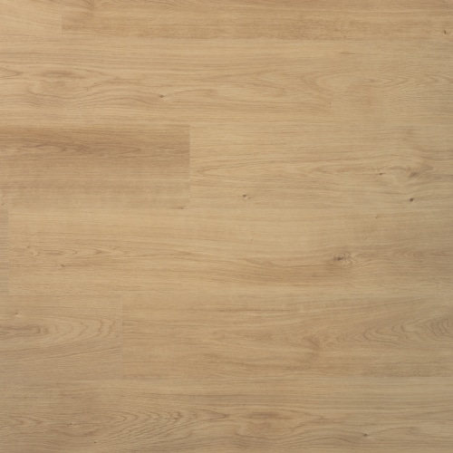 Douwes Dekker - Spontaan Plank Nootmuskaat