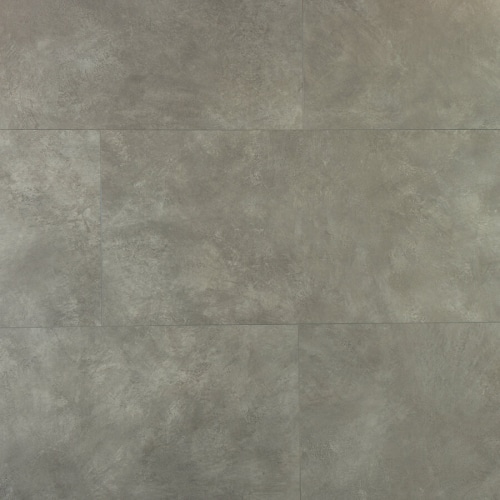 Douwes Dekker - Enthousiast Tegel Anijs