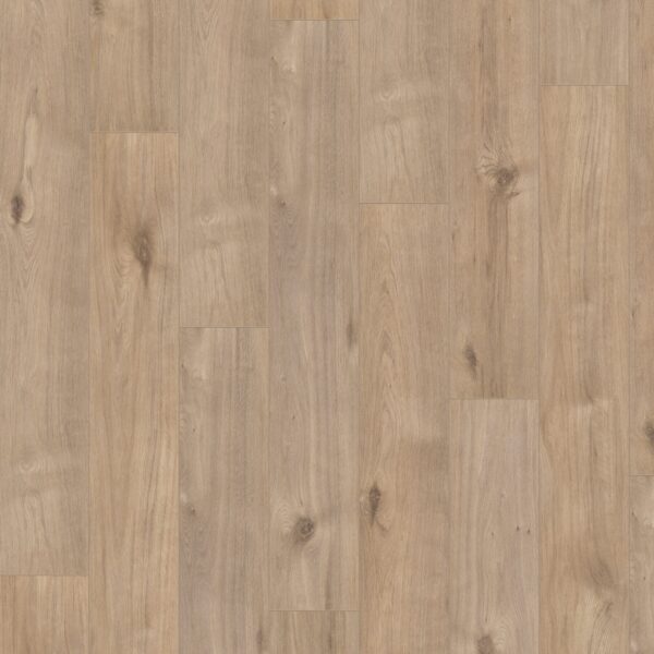 Hoomline - Optima V4 Auckland 969