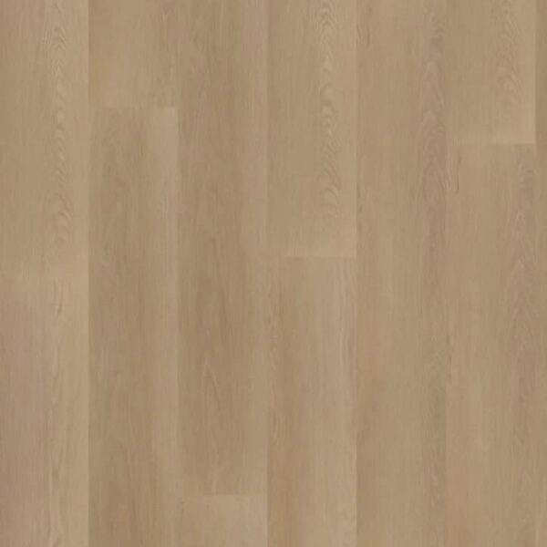 Hoomline - Ambassador Dryback Georgia 6