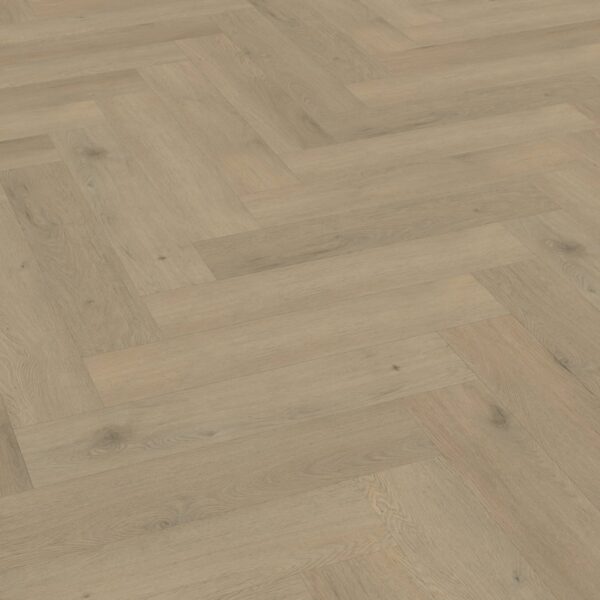 Belakos - Attico visgraat XL 86