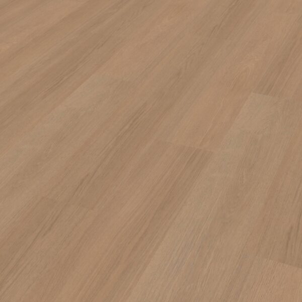 Belakos - Futuro 500