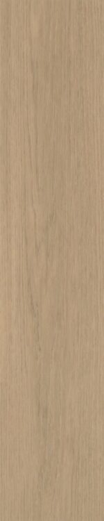 Belakos - Futuro Visgraat 51 Rigid Click