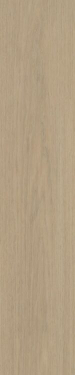 Belakos - Futuro Visgraat 52 Rigid Click