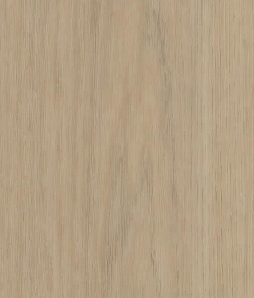 Belakos - Futuro Visgraat 52 Rigid Click