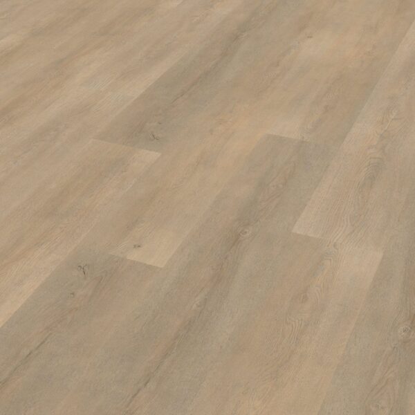 Belakos - Palazzo 710