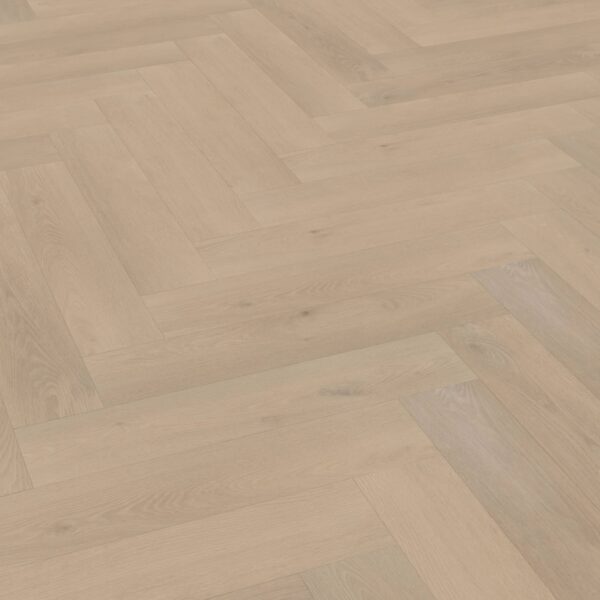 Belakos - Palazzo visgraat XL 74