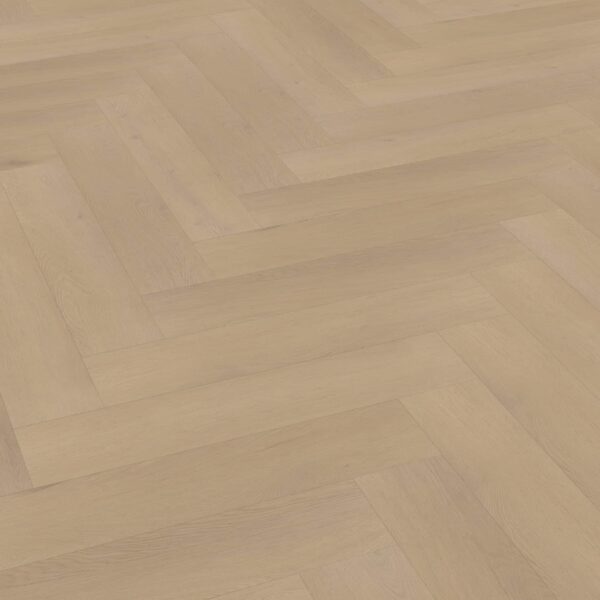 Belakos - Palazzo visgraat XL 77