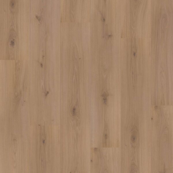 Hoomline - Royal XL V2 Atlas 4937