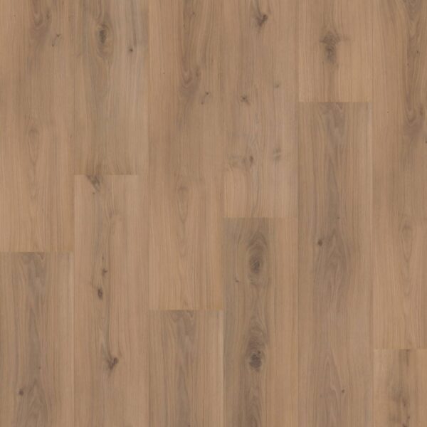 Hoomline - Royal XL V2 Jungfrau 4936