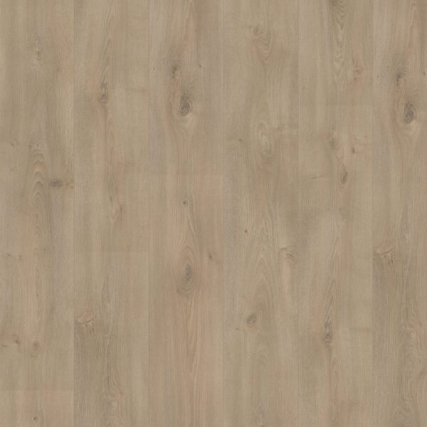 Hoomline - Royal XL V2 Mount Everest