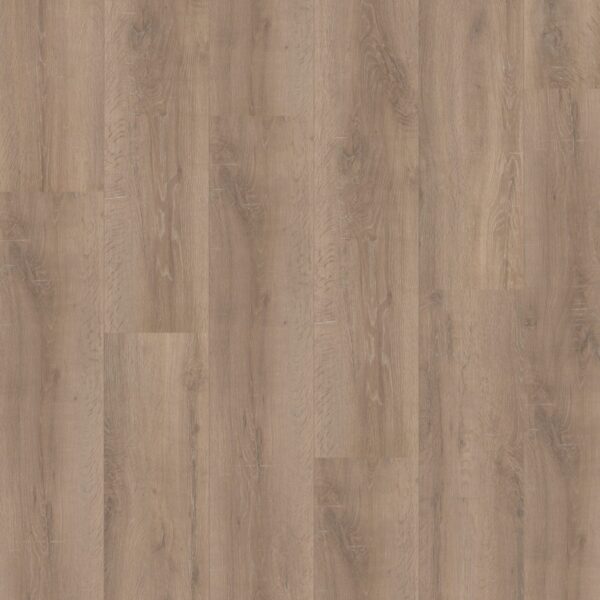 Hoomline - Royal XL V2 Olympus 957