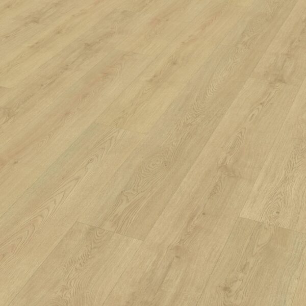 Belakos - Monastro 920 | Rigid Click