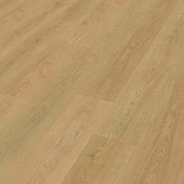 Belakos - Monastro 930 | Rigid Click