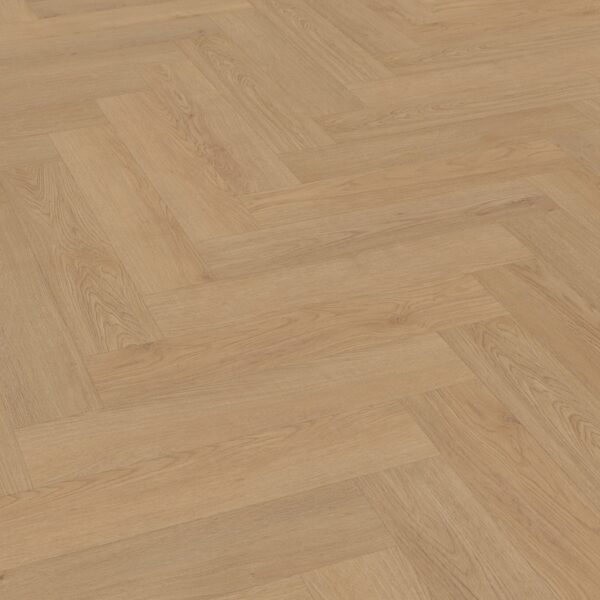 Belakos - Monastro visgraat XL 93