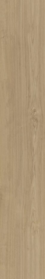 Belakos - Portico 540 Rigid Click