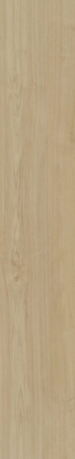 Belakos - Portico 550 Rigid Click