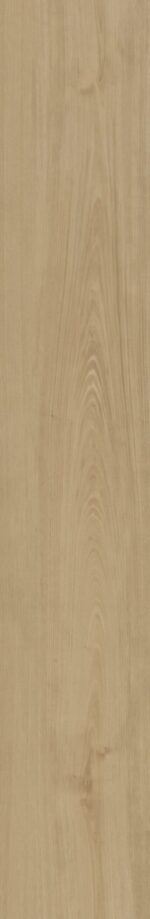 Belakos - Portico 560 Rigid Click