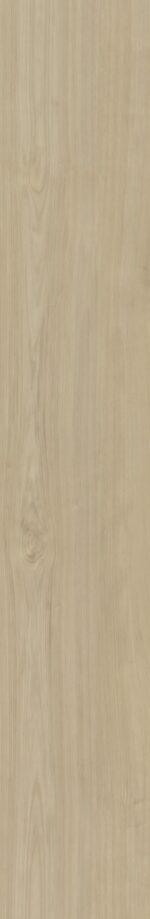 Belakos - Portico 570 Rigid Click