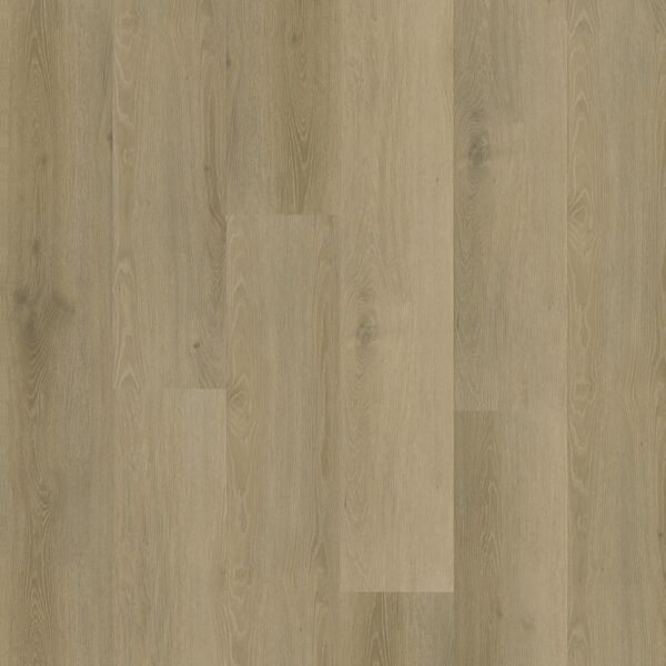 Belakos - Rustico 20