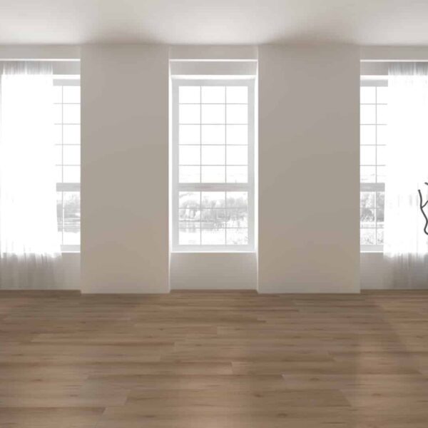 Hoomline - Ambassador Dryback Nebraska 60