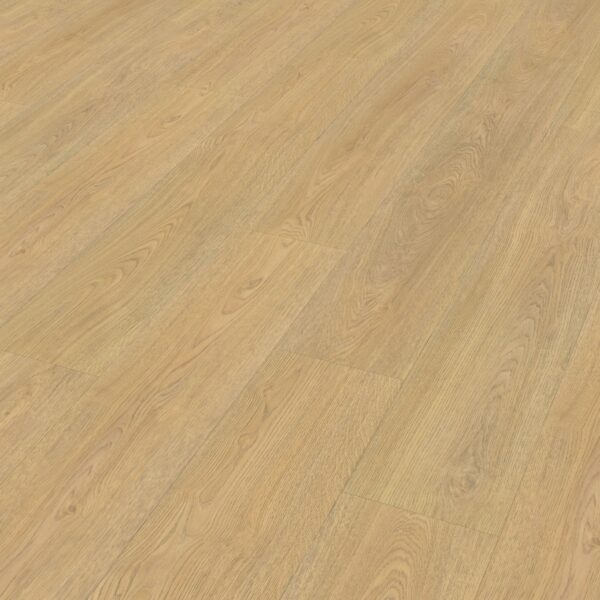 Belakos - Terreno 610 | Rigid Click