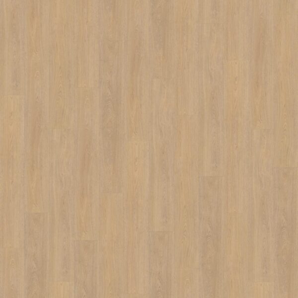 Belakos - Terreno 610