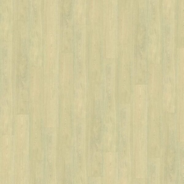 Belakos - Terreno 620 | Rigid Click