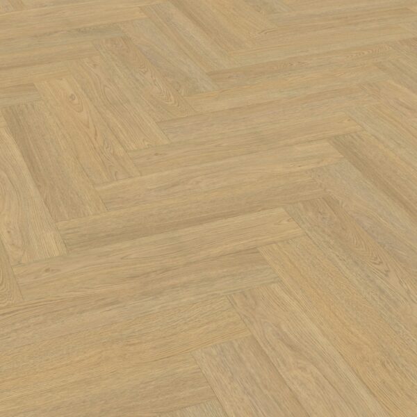 Belakos - Terreno visgraat XL 61 | Rigid Click