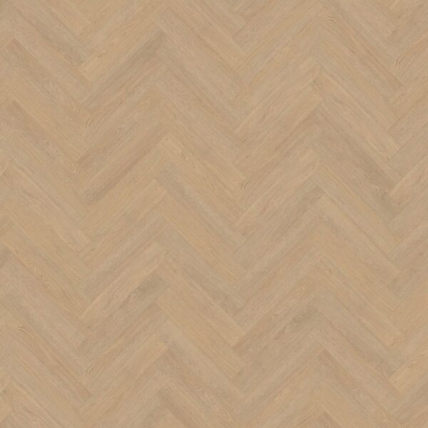 Belakos - Terreno visgraat XL 61